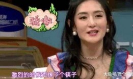 谢娜最新工作爆料,揭秘跨界新挑战