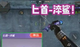 最新赛季爆料排位武器,神秘爆料揭示武器生成机制