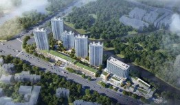 柳州楼叔爆料最新消息,揭秘柳州楼市动态与趋势