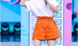 谢娜最新工作爆料,揭秘跨界新挑战